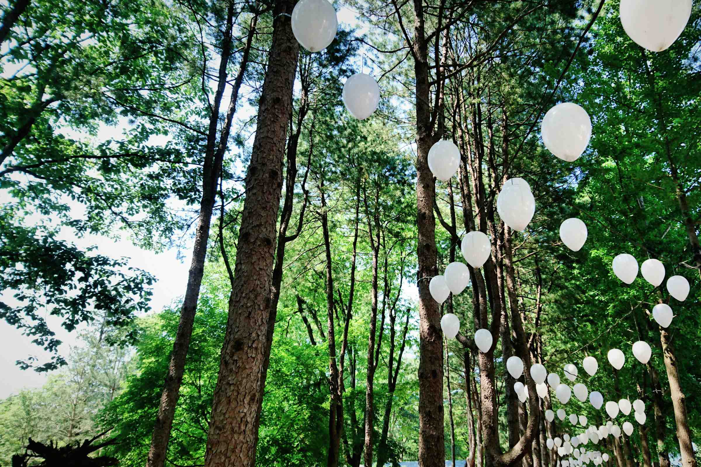 Consultanță fonduri europene portofoliu ILIGRA finanțare aprobată fonduri ONG PMB2022