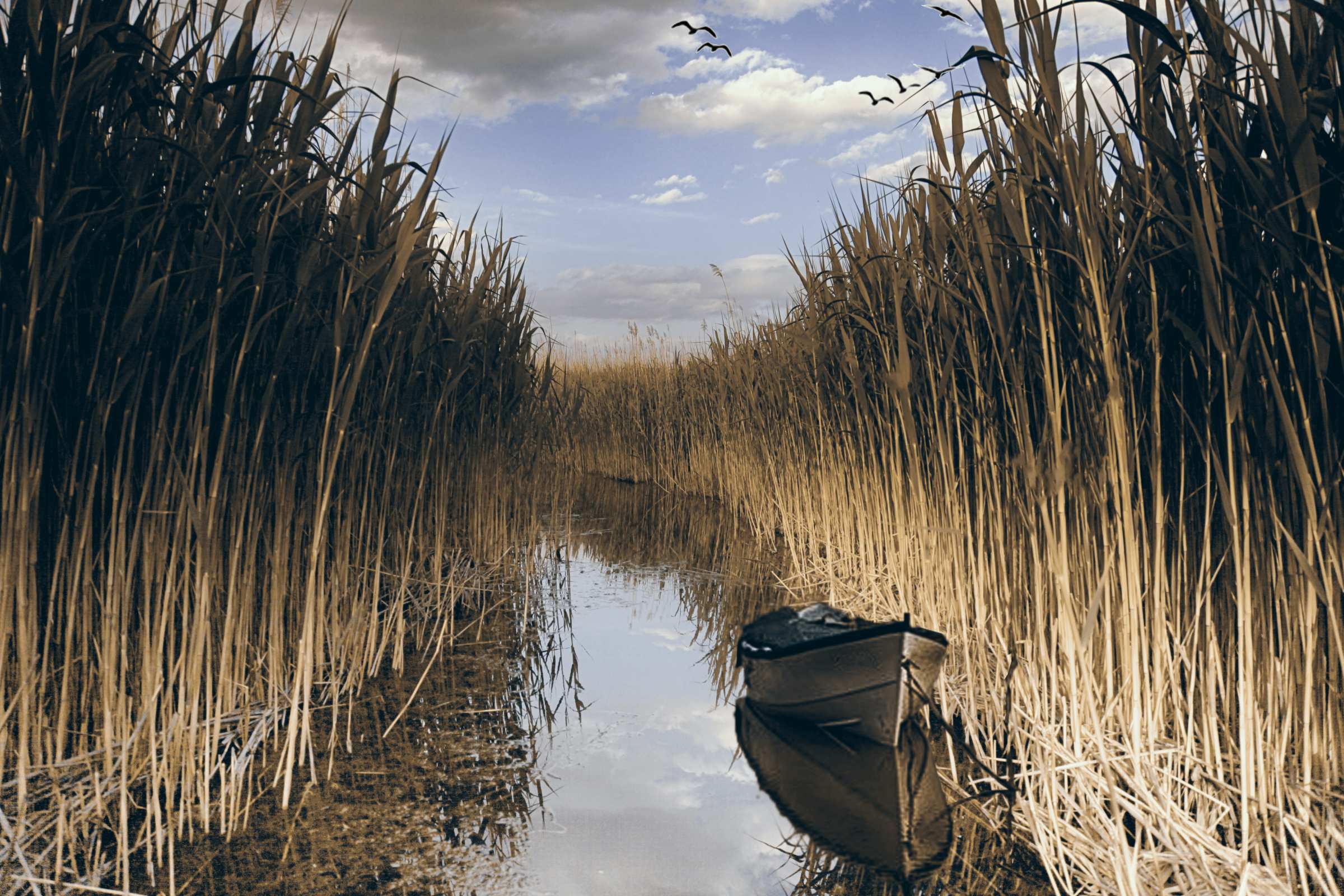 Management proiecte portofoliu ILIGRA monitorizare proiecte fonduri europene POSDRU 110